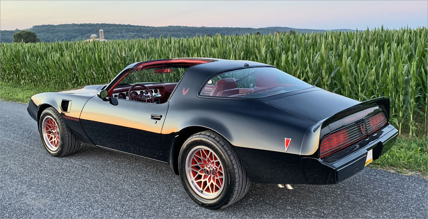 Tom & Julie's 1981 Pontiac Firebird Trans A