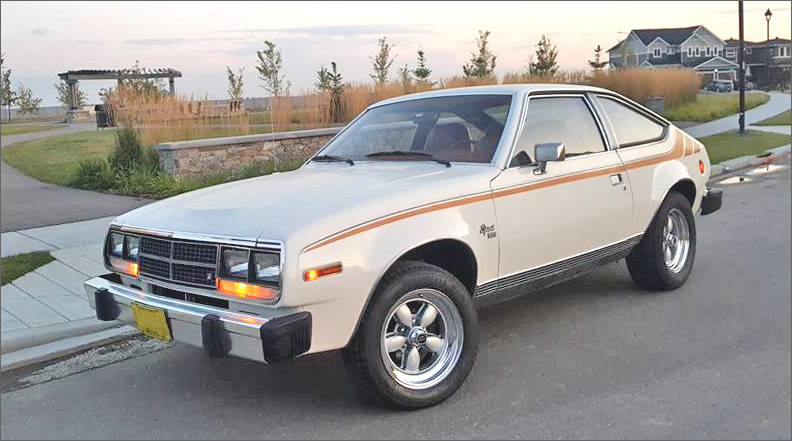 Logan & Cindy's 1981 AMC Spirit