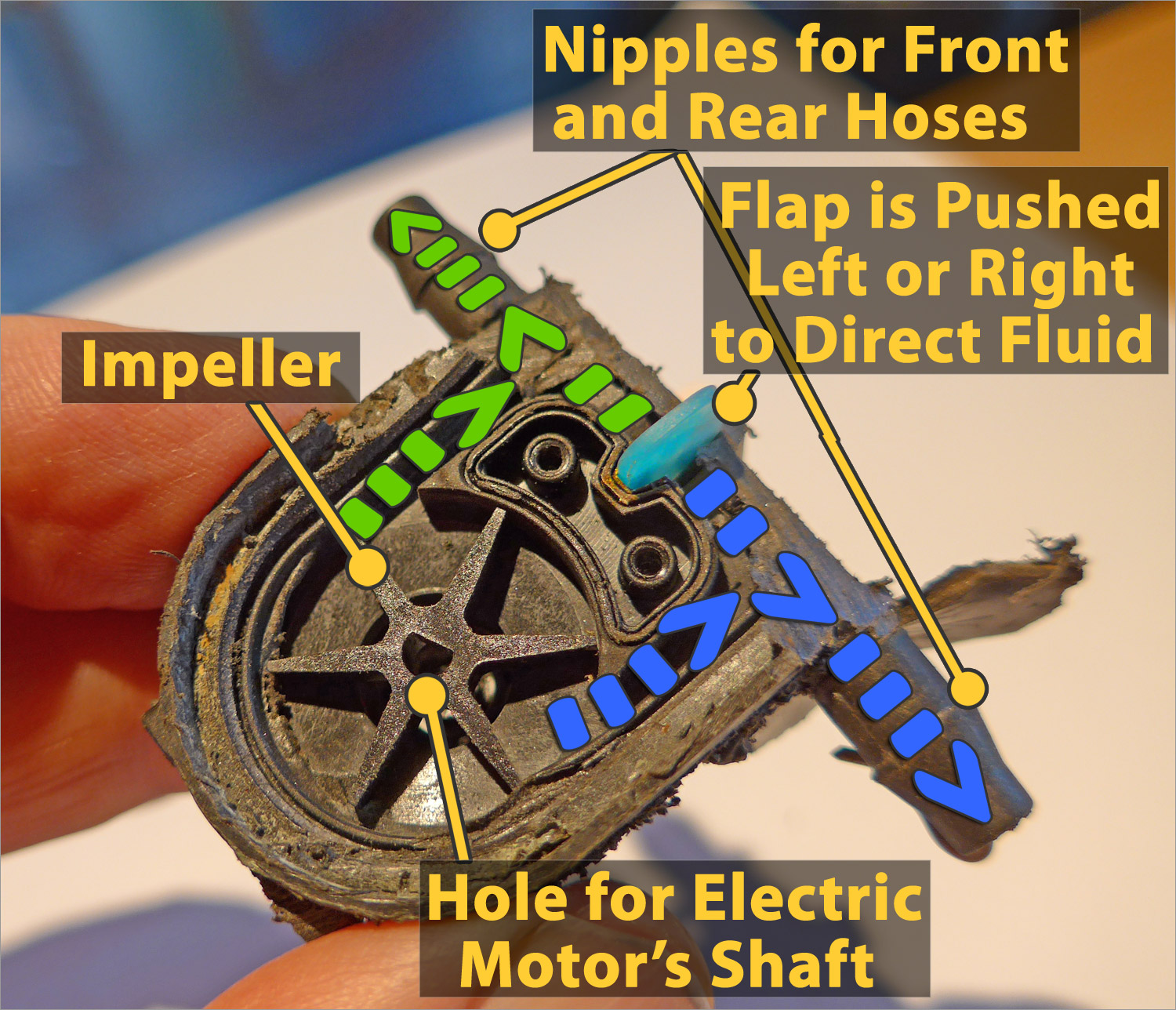 Dissecting a Washer Pump